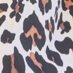 classic leopard