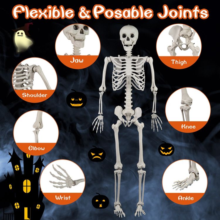 Tangkula 5.4 FT Halloween Life Size Skeleton Realistic Full Body ...