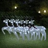 vidaXL Christmas Reindeers Decoration Christmas Lighting Display with LEDs - White 6 - 2 of 4
