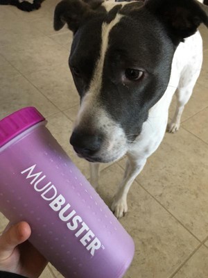 The Mudbuster Is a Must-Have For Cleaning Dirty Paws Quickly and Easily