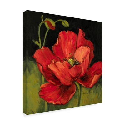 Trademark Fine Art -Barbara Mock ' Poppy Blossom' Canvas Art