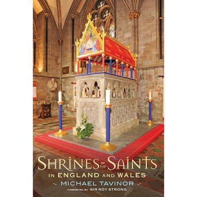 Shrines of the Saints - by  Michael Tavinor (Paperback)