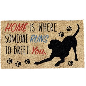 Design Imports  Home Dog Doormat - 1 of 4