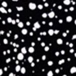 engineered dots
