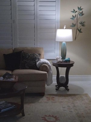 Guest review image 1 of 1, zoom in