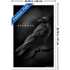 Trends International DC The Sandman (2022) - Matthew The Raven Framed Wall Poster Prints - 3 of 4