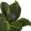 Nearly Natural 24-in Magnolia Artificial Leaf (Set of 6) - 3 of 3