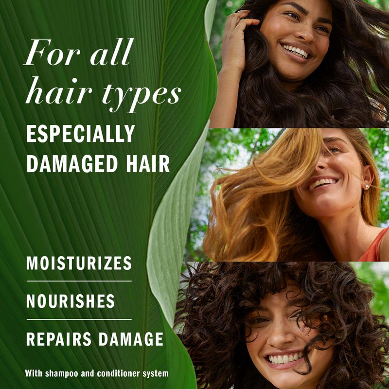 Herbal Essences Argan Oil Repairing Shampoo, Color-Safe, For Damaged Hair - 13.5 fl oz, 4 of 15