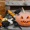 Joyfy 6 Pcs Black Crows Halloween Party Favors, Fake Bird Props for Haunted House Cemetery Yard Table, Tree Wall Window Indoor Outdoor Decor Supplies - 3 of 4