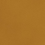 c.j. gardner-johnson