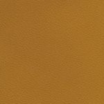 c.j. gardner-johnson