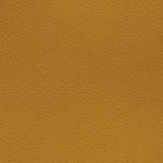 c.j. gardner-johnson