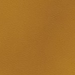 c.j. gardner-johnson