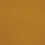 c.j. gardner-johnson