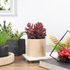 Northlight 7" Purple Artificial Succulent in Faux Wood Pot - 2 of 4