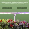 Hydroponic Growing System 12 Pods With 3 Timing Modes & Full Spectrum LED Light - 4 of 4