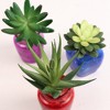 Floral Home 6.5" Aloe Plant Lifelike Succulent - 24-Piece - 2 of 3