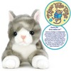 Gavin The Grey Tabby Cat - 13 Inch Stuffed Animal Plush - By Viahart - 3 of 4