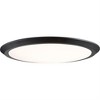 Quoizel Lighting Verge 1 - Light Flush Mount in  Oil Rubbed Bronze - 2 of 3