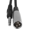 Livewire Essential Interconnect Cable 1/4" TRS to XLR Male - 2 of 4