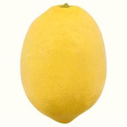 Fresh Lemon - each