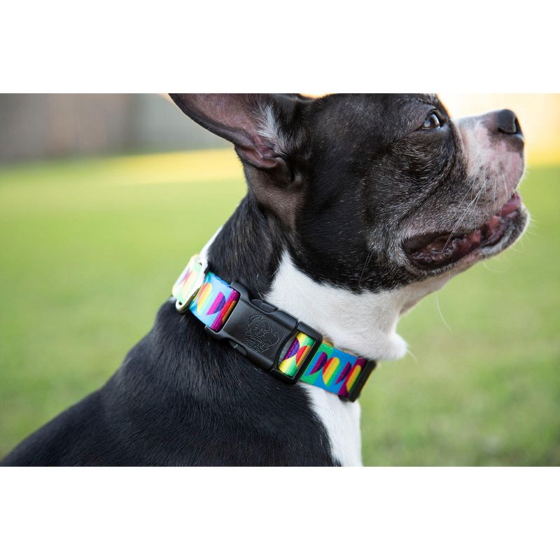 Country Brook Petz Deluxe Rainbow Hearts Dog Collar - Made In The U.S.A., 2 of 8