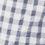 navy white gingham