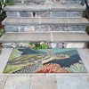 Liora Manne Ravella Coastal Indoor/Outdoor Rug.. - 4 of 4
