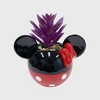 Disney 2pc Indoor/Outdoor Ceramic Mickey & Minnie Mouse Classic Succulent Set: Novelty Garden Accessories, No Drainage - 4 of 4