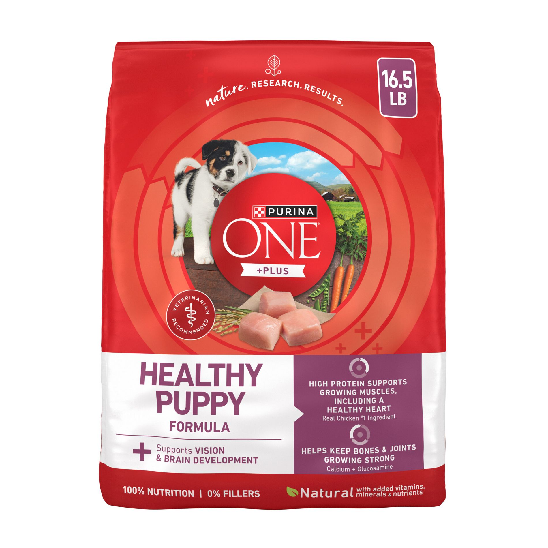 Purina ONE SmartBlend Healthy Puppy Natural Chicken Flavor Dry Dog Food - 16.5lbs