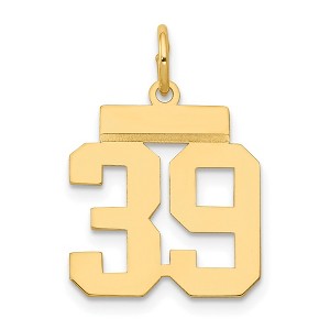 Black Bow Jewelry 14k Yellow Gold, Athletic Collection, Small Polished Number 39 Pendant - 1 of 4