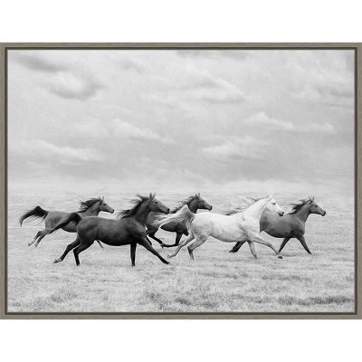 24" x 18" Horse Run I by PH Burchett Framed Canvas Wall Art - Amanti Art