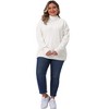 Women's Plus Size Turtleneck Long Sleeve Knit Casual Loose Pullover Sweaters - Agnes Orinda - 3 of 4
