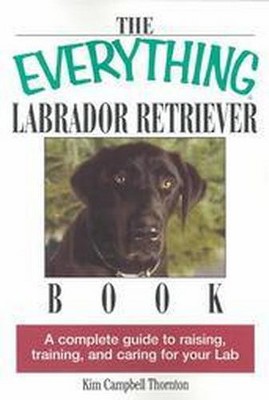 The Everything Labrador Retriever Book - (Everything(r)) 2nd Edition by  Kim Campbell Thornton (Paperback)