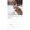 Trends International 2026 Puppies Bilingual French 12"x12" Wall Calendar - 2 of 4