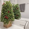 18" Unlit Boxwood Artificial Christmas Tree with Berries in Wood Pot - Haute Décor - image 3 of 3