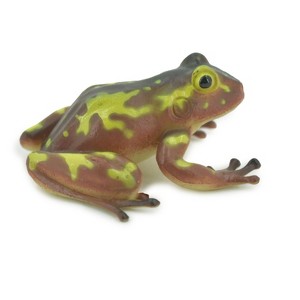 Collectible Wildlife Gifts | Frog, Brown & Yellow, Amphibians, High Quality, Hand Painted, Rubber, Realistic, Model,  Toy, Gift,  2 1/2"   RI31 B177 - 1 of 4