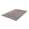 SKRAN 3'11"x5'11" Super Soft Carpet Shag Area Rug Non-Shedding & Easy Cleaning Transparent Sprayed Latex Reverse For Living Room, Dining Room, Beige - 4 of 4