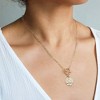 HTUTWOO 18K Gold Moon Star Lion Evil Eye Love Heart Cross Pendant Necklace Medallion Paperclip Chian Choker Layering Jewery for Women - 4 of 4