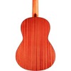 Cordoba Protege C1M 3/4 Size Nylon-String Classical Acoustic Guitar Natural Matte 0.75 - 2 of 4