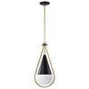 Nuvo Lighting Admiral 1 - Light Pendant in  Matte Black/Natural Brass - 4 of 4
