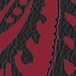 south carolina gamecocks