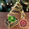 D'Eco Glass Tree 8" Plant Terrarium- Tabletop Gold Trimmed Planter & Centerpiece- Decor for Home & Office, Decorations for Shelf-Gift for Plant Lovers - 3 of 3