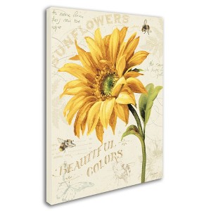 Trademark Fine Art -Lisa Audit 'Under the Sun II' Canvas Art - 1 of 3