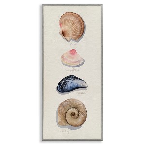 Stupell Industries Traditional Nautical Sea Shells, 13" x 30" - 1 of 4
