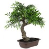 Northlight 18" Bonsai Artificial Potted Plant - Green/Brown - 3 of 4