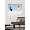 Trends International The Comedy Wildlife Photography Awards: Jennifer Hadley - Talk To The Fin Unframed Wall Poster Prints - 2 of 4