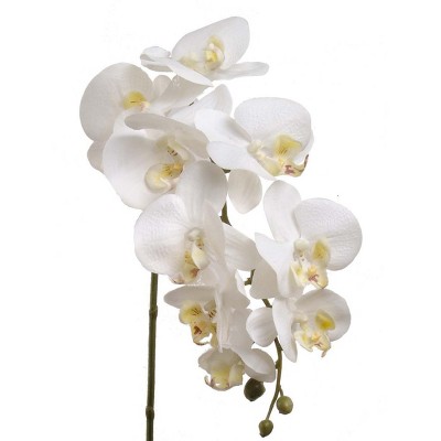 Floral Home 29" White Phalaenopsis Stem with 9 Flowers - 12-Piece