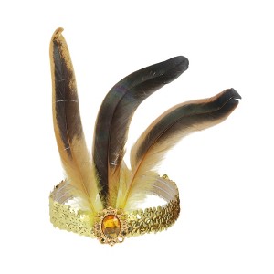 Unique Bargains Women's Feather Sequins Headband 1 Pc - 1 of 4