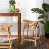 bali & pari Elgon Rattan Counter Height Barstool Natural/Brown - 3 of 4